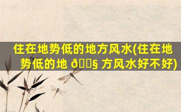 住在地势低的地方风水(住在地势低的地 🐧 方风水好不好)